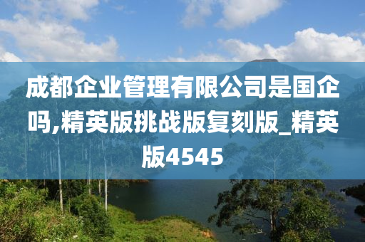 成都企业管理有限公司是国企吗,精英版挑战版复刻版_精英版4545