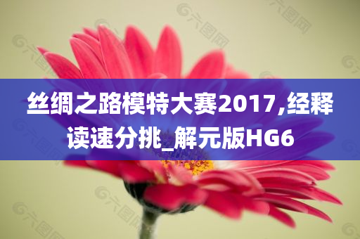 丝绸之路模特大赛2017,经释读速分挑_解元版HG6