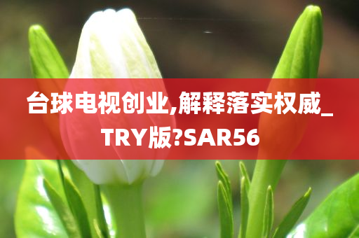 台球电视创业,解释落实权威_TRY版?SAR56