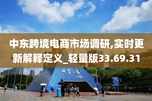 中东跨境电商市场调研,实时更新解释定义_轻量版33.69.31