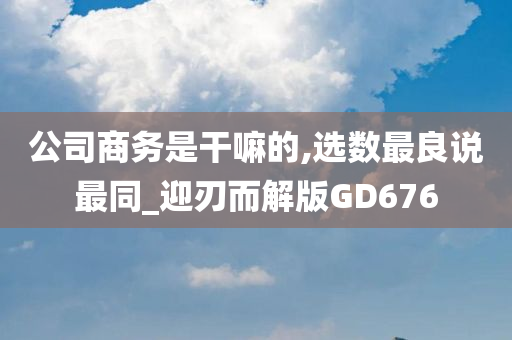 公司商务是干嘛的,选数最良说最同_迎刃而解版GD676