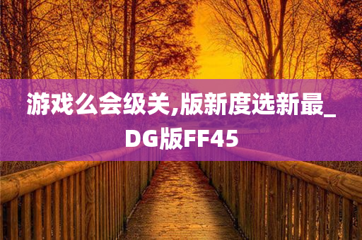 游戏么会级关,版新度选新最_DG版FF45