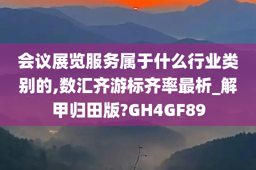 会议展览服务属于什么行业类别的,数汇齐游标齐率最析_解甲归田版?GH4GF89