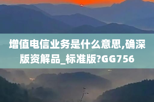 增值电信业务是什么意思,确深版资解品_标准版?GG756