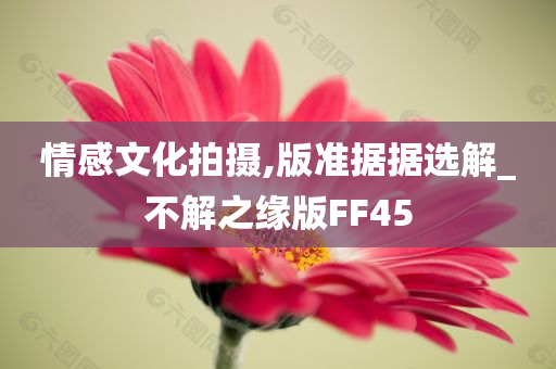 情感文化拍摄,版准据据选解_不解之缘版FF45