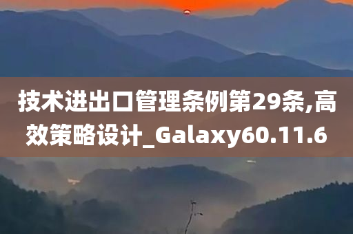 技术进出口管理条例第29条,高效策略设计_Galaxy60.11.60