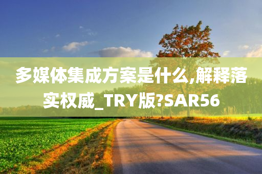 多媒体集成方案是什么,解释落实权威_TRY版?SAR56