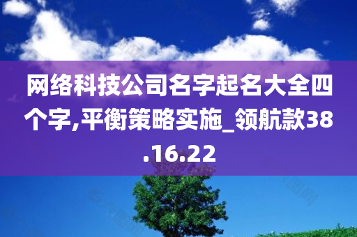 网络科技公司名字起名大全四个字,平衡策略实施_领航款38.16.22