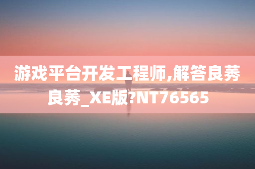 游戏平台开发工程师,解答良莠良莠_XE版?NT76565