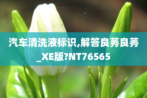 汽车清洗液标识,解答良莠良莠_XE版?NT76565