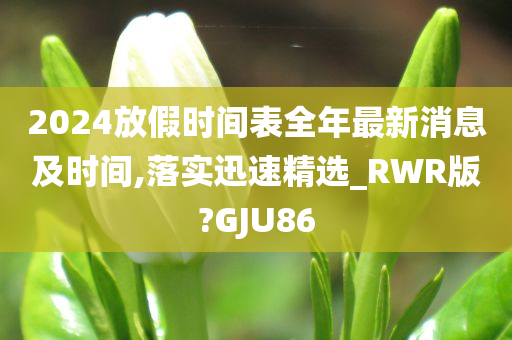 2024放假时间表全年最新消息及时间,落实迅速精选_RWR版?GJU86