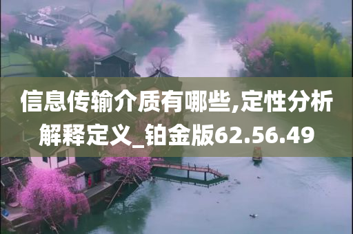 信息传输介质有哪些,定性分析解释定义_铂金版62.56.49