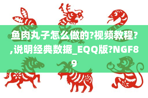 鱼肉丸子怎么做的?视频教程?,说明经典数据_EQQ版?NGF89