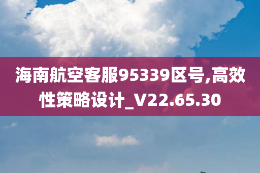 海南航空客服95339区号,高效性策略设计_V22.65.30