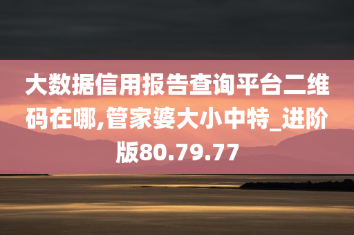 大数据信用报告查询平台二维码在哪,管家婆大小中特_进阶版80.79.77