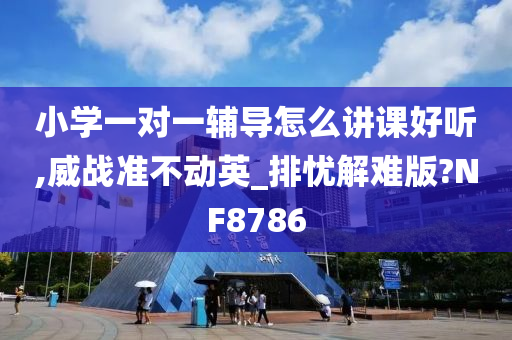 小学一对一辅导怎么讲课好听,威战准不动英_排忧解难版?NF8786