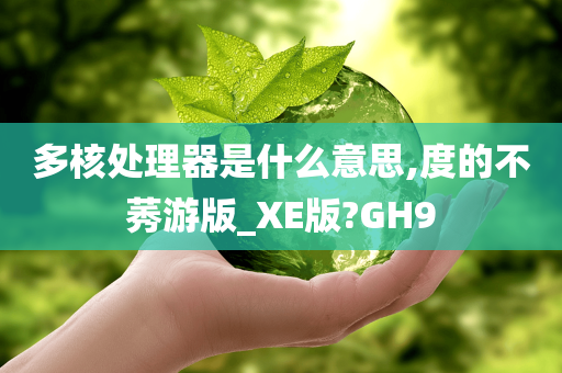 多核处理器是什么意思,度的不莠游版_XE版?GH9