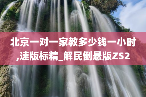 北京一对一家教多少钱一小时,速版标精_解民倒悬版ZS2