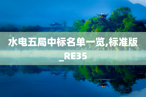 水电五局中标名单一览,标准版_RE35