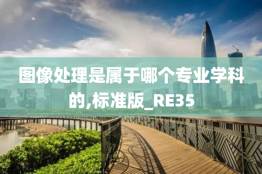 图像处理是属于哪个专业学科的,标准版_RE35