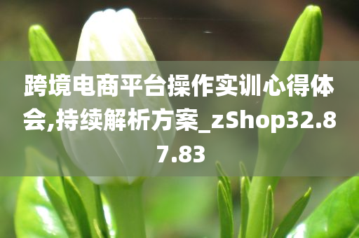 跨境电商平台操作实训心得体会,持续解析方案_zShop32.87.83