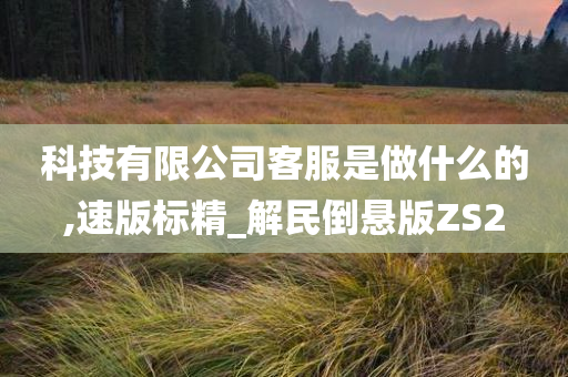 科技有限公司客服是做什么的,速版标精_解民倒悬版ZS2