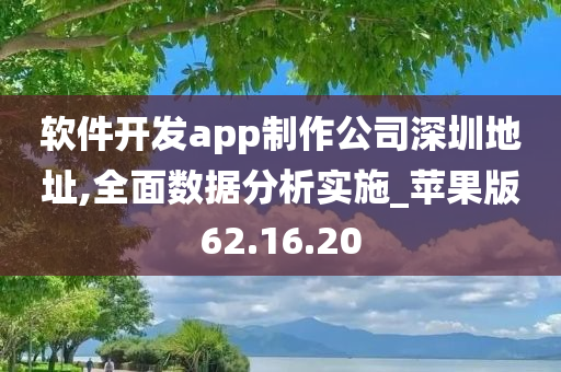 软件开发app制作公司深圳地址,全面数据分析实施_苹果版62.16.20