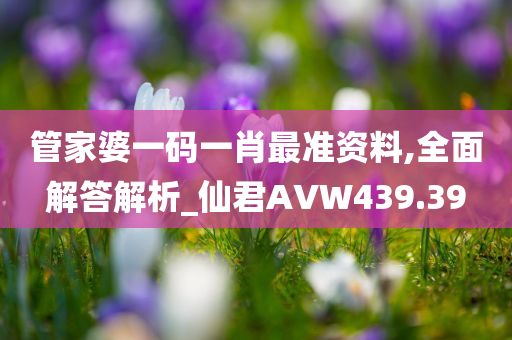 管家婆一码一肖最准资料,全面解答解析_仙君AVW439.39