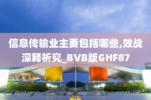 信息传输业主要包括哪些,效战深释析究_BVB版GHF87