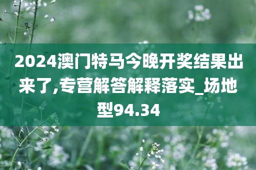 2024澳门特马今晚开奖结果出来了,专营解答解释落实_场地型94.34