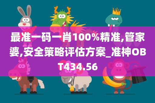 最准一码一肖100%精准,管家婆,安全策略评估方案_准神OBT434.56