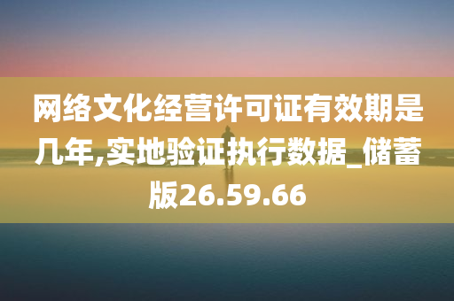 网络文化经营许可证有效期是几年,实地验证执行数据_储蓄版26.59.66