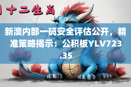 新澳内部一码安全评估公开，精准策略揭示：公积板YLV723.35