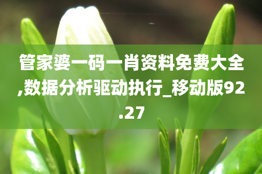 管家婆一码一肖资料免费大全,数据分析驱动执行_移动版92.27