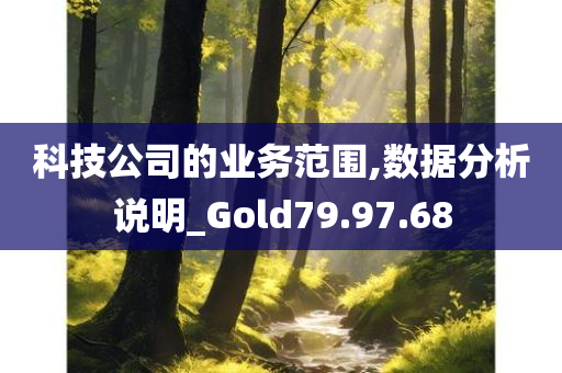 科技公司的业务范围,数据分析说明_Gold79.97.68