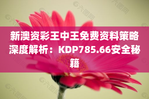 新澳资彩王中王免费资料策略深度解析：KDP785.66安全秘籍