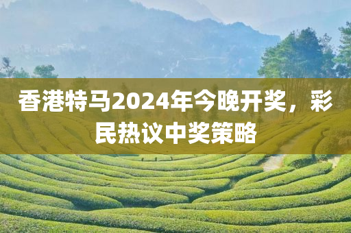 香港特马2024年今晚开奖，彩民热议中奖策略