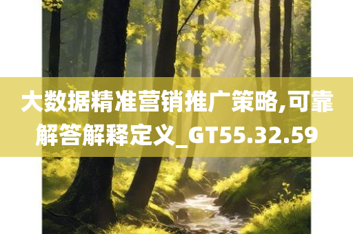 大数据精准营销推广策略,可靠解答解释定义_GT55.32.59