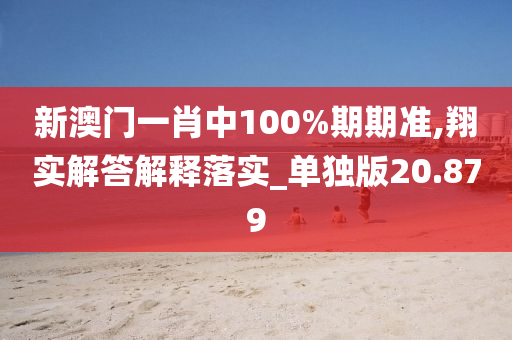 新澳门一肖中100%期期准,翔实解答解释落实_单独版20.879