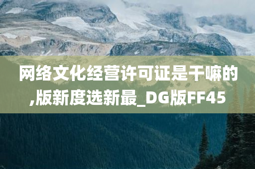 网络文化经营许可证是干嘛的,版新度选新最_DG版FF45