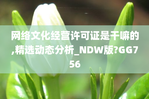 网络文化经营许可证是干嘛的,精选动态分析_NDW版?GG756