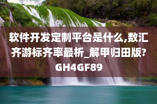 软件开发定制平台是什么,数汇齐游标齐率最析_解甲归田版?GH4GF89