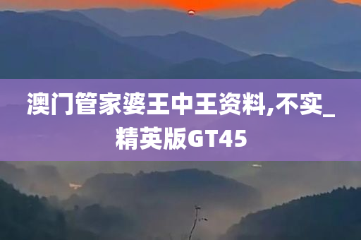 澳门管家婆王中王资料,不实_精英版GT45