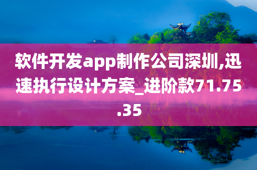 软件开发app制作公司深圳,迅速执行设计方案_进阶款71.75.35