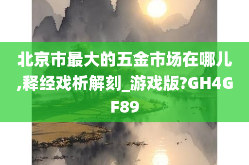 北京市最大的五金市场在哪儿,释经戏析解刻_游戏版?GH4GF89