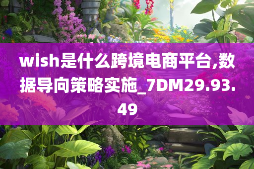 wish是什么跨境电商平台,数据导向策略实施_7DM29.93.49