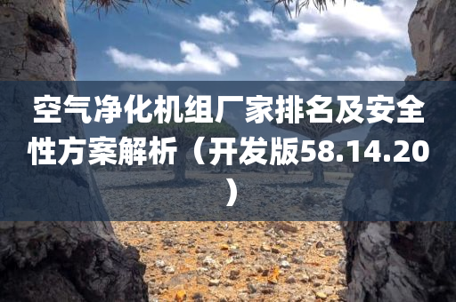 空气净化机组厂家排名及安全性方案解析（开发版58.14.20）