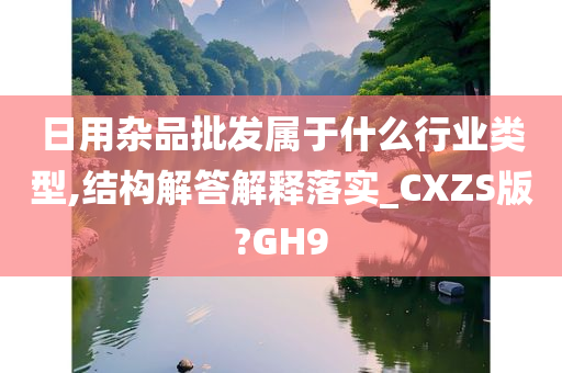 日用杂品批发属于什么行业类型,结构解答解释落实_CXZS版?GH9