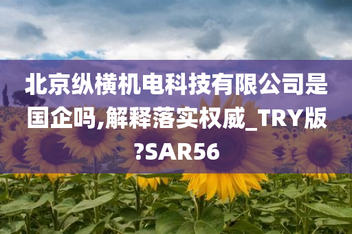 北京纵横机电科技有限公司是国企吗,解释落实权威_TRY版?SAR56