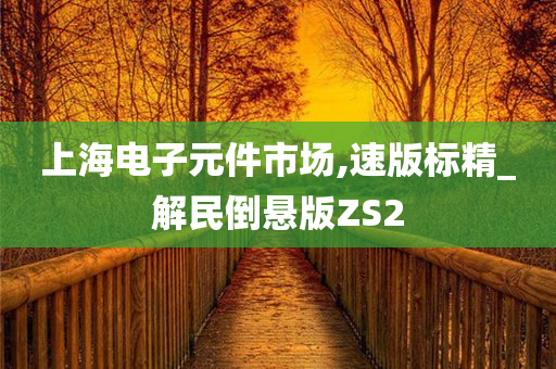 上海电子元件市场,速版标精_解民倒悬版ZS2